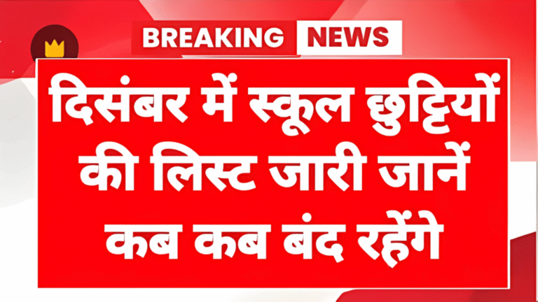 School Holidays 2025